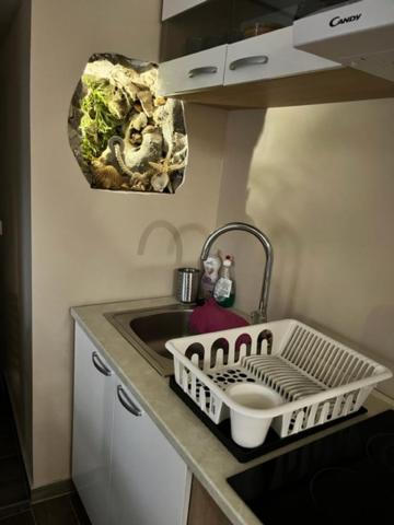 Salt & Soul Apartman Zengg Kültér fotó